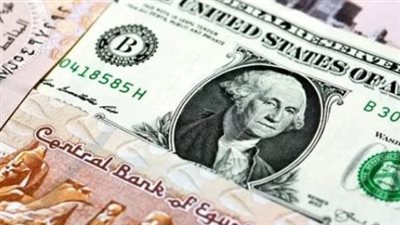  سعر الدولار الأمريكي مقابل الجنيه المصري اليوم الثلاثاء 20-8-2024