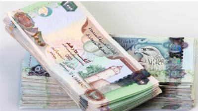 سعر الدرهم الإماراتي في البنك المركزي المصري اليوم 20_8_2024