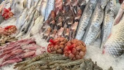  أسعار الأسماك والجمبري اليوم الأربعاء 21_8_2024