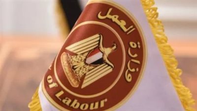 وزارة العمل المصرية تبدأ غدا تلقى طلبات التقدم لشغل 50 وظيفة بالبوسنة والهرسك