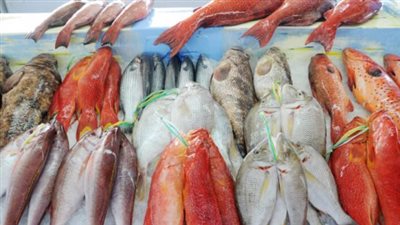 أسعار الأسماك والجمبري اليوم السبت 24 أغسطس 2024