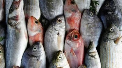  أسعار الأسماك والجمبري اليوم الأحد 25 أغسطس 2024