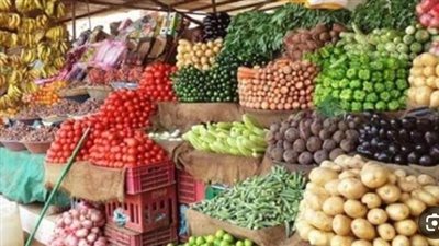  أسعار الخضروات والفاكهة اليوم الثلاثاء 27 أغسطس 2024