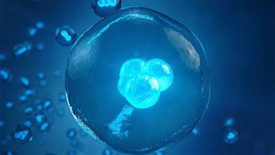 تجميد البويضات في سن الأربعين.. 3 خطوات فقط لتحسين فرص حدوث الحمل