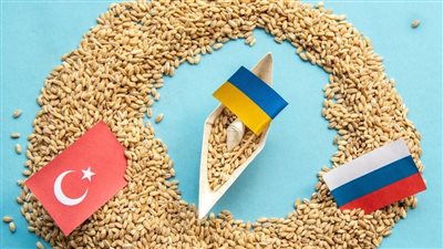 ما حقيقة اهتمام تركيا بتجارة الحبوب بين روسيا وأوكرانيا؟