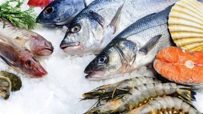 أسعار الأسماك والجمبري اليوم السبت 31 أغسطس 2024