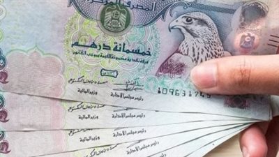  سعر الدرهم الإماراتي مقابل الجنيه المصري اليوم السبت 31 أغسطس 2024