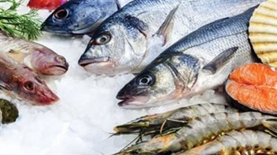 أسعار السمك والجمبري اليوم الأحد 1 سبتمبر 2024