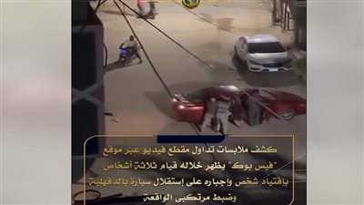 الداخلية المصرية تنشر فيديو لـ