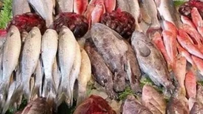 أسعار السمك والجمبري اليوم الاثنين 2 سبتمبر 2024