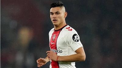 فلامنجو البرازيلي يعلن ضم الأرجنتيني ألكاراز قادما من الدوري الإنجليزي