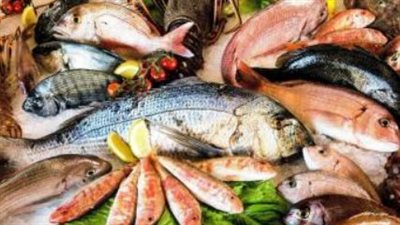  أسعار الأسماك والجمبري اليوم الثلاثاء 3 سبتمبر 2024