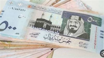 سعر الريال السعودي في البنك المركزي المصري اليوم الثلاثاء 3_9_2024