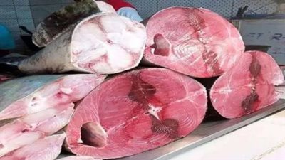 أسعار الأسماك اليوم الخميس الموافق 5 سبتمبر 2024 في عدن