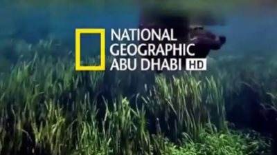 تردد قناة ناشيونال جيوغرافيك علي النايل سات 1 الجديد