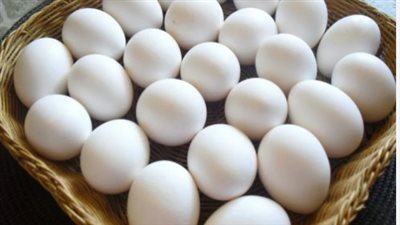 أسعار البيض اليوم الأحد اليوم 8_9_2024