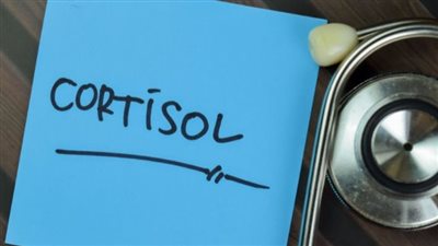 6 طرق لخفض مستويات الكورتيزول.. تخلص من التوتر في الحال