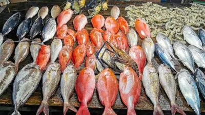  أسعار الأسماك والجمبري اليوم الإثنين 9 سبتمبر 2024
