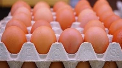 سعر كرتونة البيض الأحمر اليوم 11_9_2024