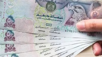 سعر الدرهم الإماراتي مقابل الجنيه المصري اليوم الأربعاء 11 سبتمبر 2024