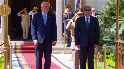 متحدث الرئاسة المصرية: الرئيس السيسي ونظيره الألمانى بحثا مختلف الموضوعات الإقليمية والدولية
