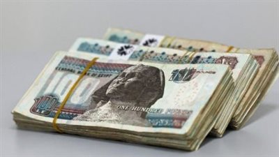 بالتزامن مع إجازة المولد النبوي.. كيف يحصل الموظفين على أجر مضاعف؟