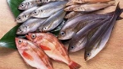  أسعار الأسماك والجمبري اليوم الثلاثاء 10 سبتمبر 2024