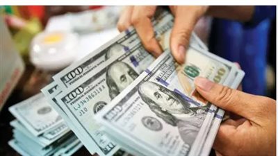 سعر الدولار في البنك المركزي المصري اليوم 10_9_2024