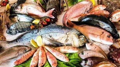  داخل سوق العبور.. أسعار الأسماك والجمبري اليوم الاثنين 16 سبتمبر 2024