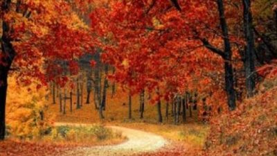 موعد بداية فصل الخريف رسميًا