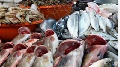  أسعار الأسماك والجمبري اليوم الأربعاء 18 سبتمبر 2024 في سوق العبور