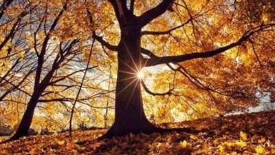 تفاصيل طقس أول أيام الخريف