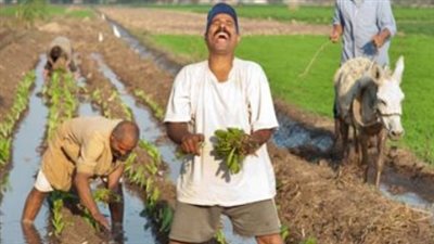 رابط اختبار اللهجه الفلاحية في مصر