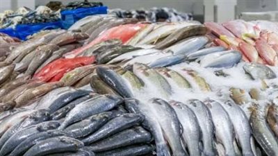 أسعار الأسماك والجمبري اليوم الأحد 22 سبتمبر 2024