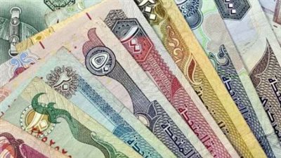 سعر الدرهم الإماراتي في البنك المركزي المصري اليوم 22_9_2024