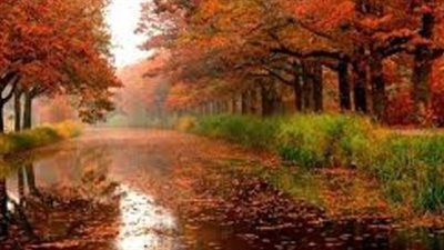 اليوم بداية فصل الخريف ويستمر 89 يوما و20 ساعة