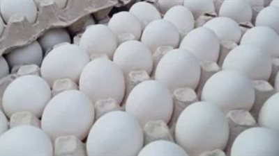 بدء طرح بيض المائدة في المجمعات الاستهلاكية بـ 150 جنيها