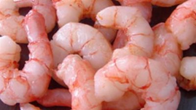 سعر السمك البلطي اليوم الإثنين 23_9_2024.. الجمبري بكام؟