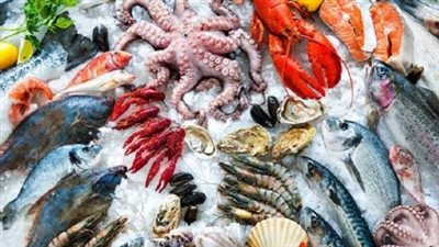  أسعار الأسماك والجمبري اليوم الثلاثاء 24 سبتمبر 2024