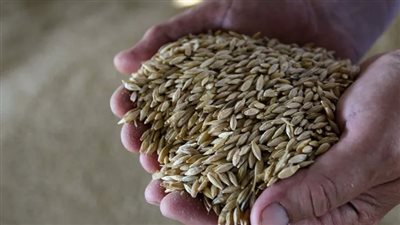 بعد توسع الحرب.. كم يكفي مخزون القمح بلبنان؟ 