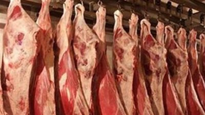 أسعار اللحوم اليوم الأربعاء 25 سبتمبر 2024 بالأسواق