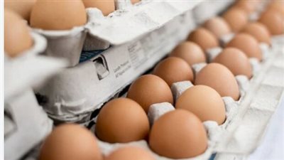 - سعر كرتونة البيض الأبيض والاحمر اليوم الأربعاء 25_9_2024