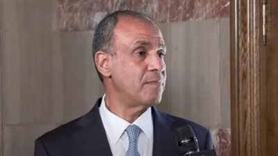 وزير الخارجية المصري يؤكد حرص بلاده على مواصلة مشاركتها الإيجابية بأنشطة 
