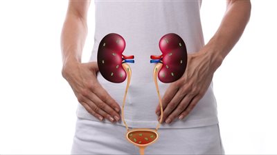 أسباب كثرة التبول المفاجئ وكمية البول الطبيعية في اليوم.. 15 سببا مختلفًا