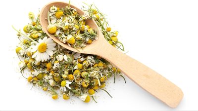 فوائد شاي البابونج.. 7 منافع صحية ونفسية للرجال والنساء