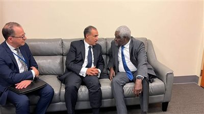 نشاط مصري مكثف على هامش اجتماعات الجمعية العامة للأمم المتحدة