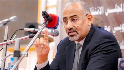 قضية الجنوب أمام العالم (تقرير صوتي)