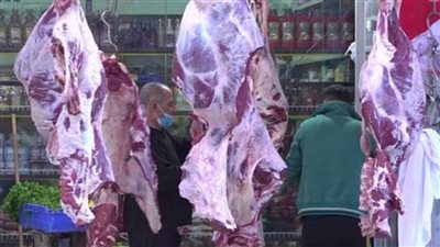 سعر اللحم البلدي اليوم الخميس 26_9_2024