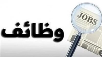  الوظائف المتاحة للشباب بالقاهرة والجيزة.. والتخصصات المطلوبة 