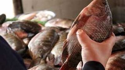  أسعار الأسماك والجمبري اليوم السبت 28 سبتمبر 2024